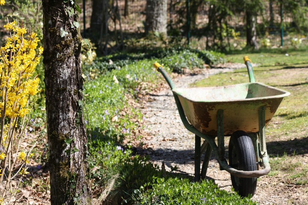 wheelbarrow